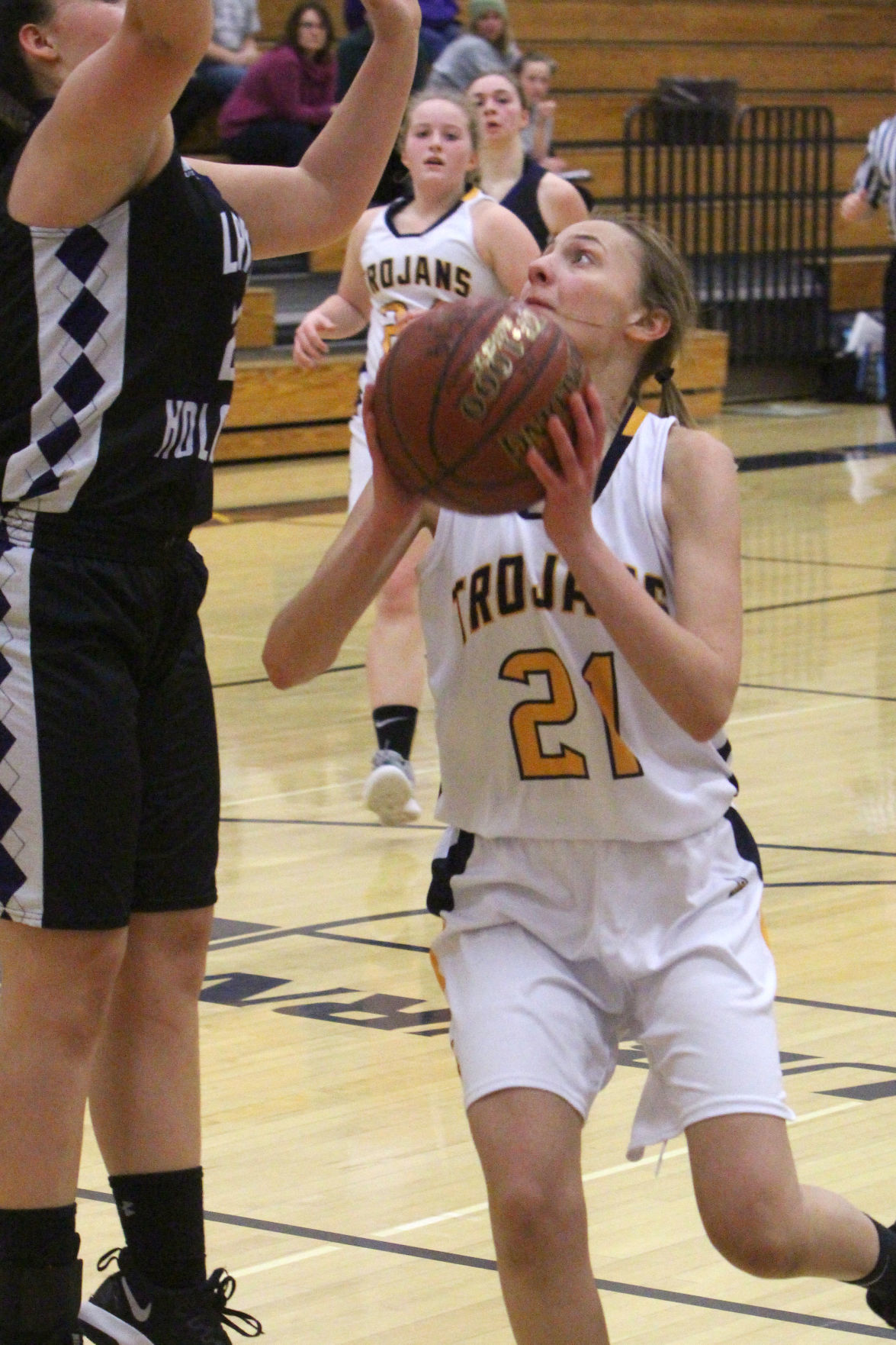 Lake Holcombe at New Auburn girls basketball 2-14-19